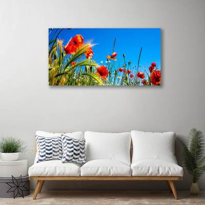 Foto op canvas Poppies gebied van het gras