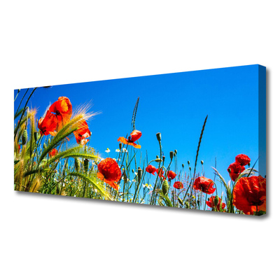 Foto op canvas Poppies gebied van het gras