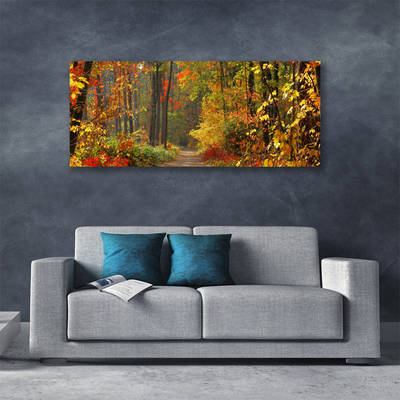 Foto op canvas Autumn forest nature