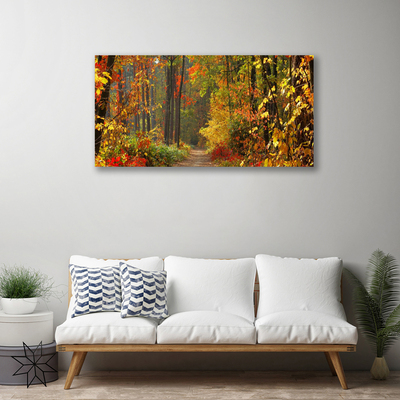 Foto op canvas Autumn forest nature