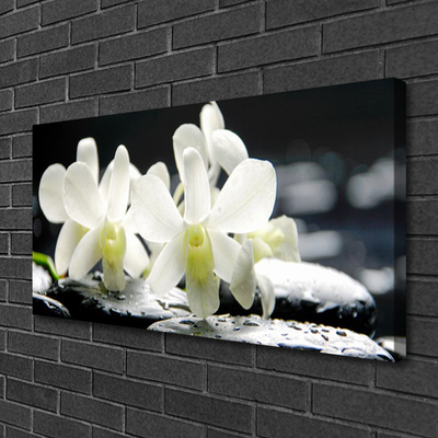 Foto op canvas Stones orchideebloemen