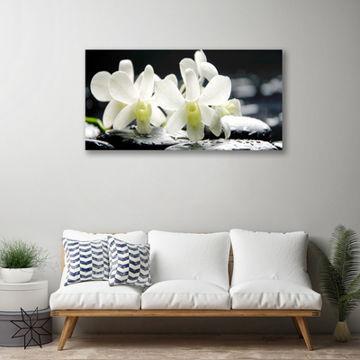 Foto op canvas Stones orchideebloemen