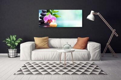 Foto op canvas Orchid water natuur