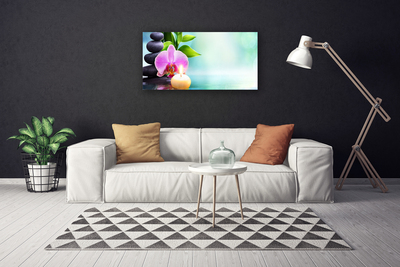Foto op canvas Orchid water natuur