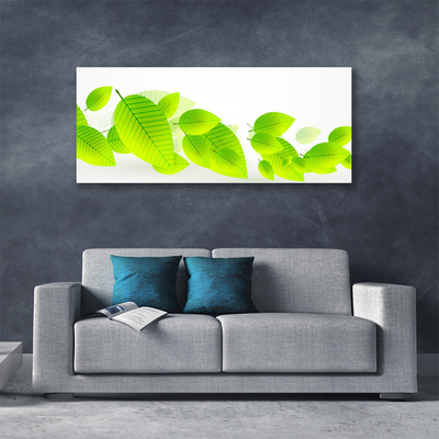 Foto op canvas Bladeren bloemen nature