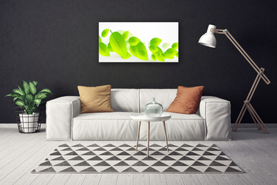 Foto op canvas Bladeren bloemen nature