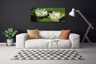 Foto op canvas Bloemen planten nature