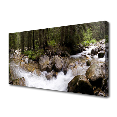 Foto op canvas Forest river waterfalls