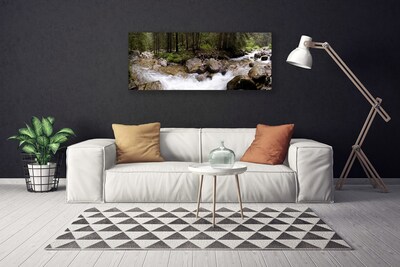 Foto op canvas Forest river waterfalls