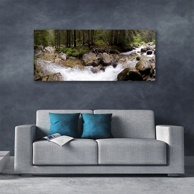 Foto op canvas Forest river waterfalls