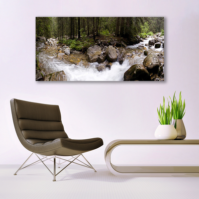 Foto op canvas Forest river waterfalls