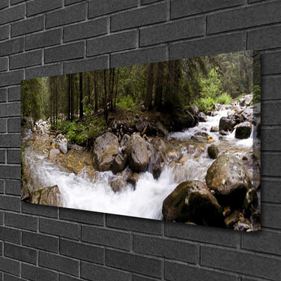 Foto op canvas Forest river waterfalls