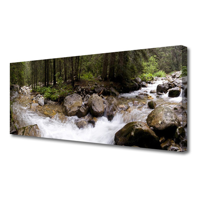 Foto op canvas Forest river waterfalls