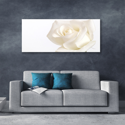 Foto op canvas Rose bloemen