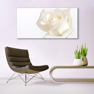 Foto op canvas Rose bloemen