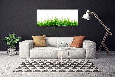 Foto op canvas Grass nature plant