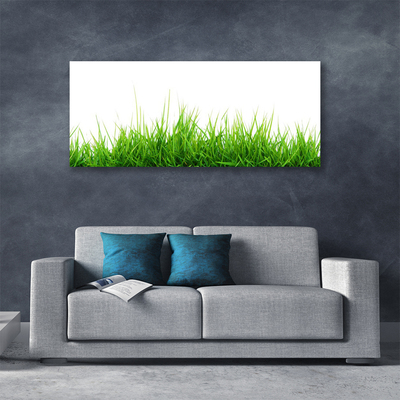 Foto op canvas Grass nature plant