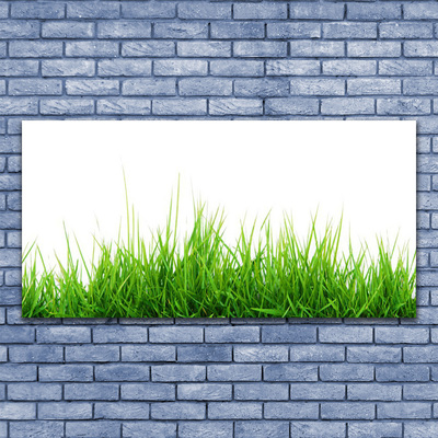 Foto op canvas Grass nature plant