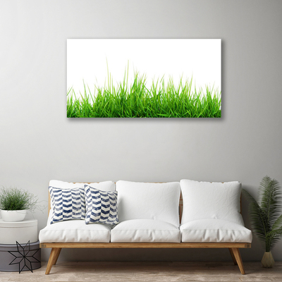 Foto op canvas Grass nature plant