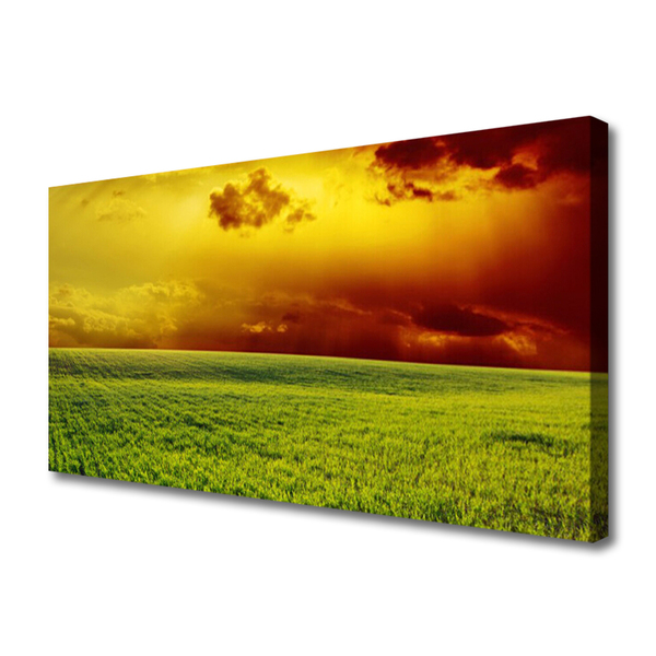 Foto op canvas Veld landschap