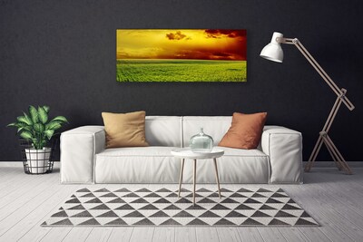 Foto op canvas Veld landschap