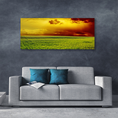 Foto op canvas Veld landschap