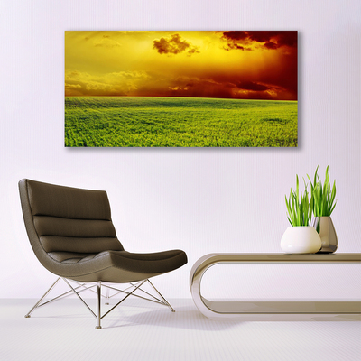 Foto op canvas Veld landschap