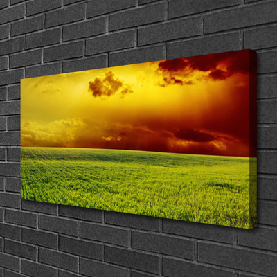 Foto op canvas Veld landschap