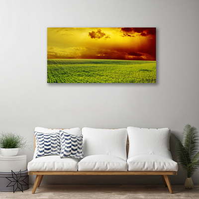 Foto op canvas Veld landschap