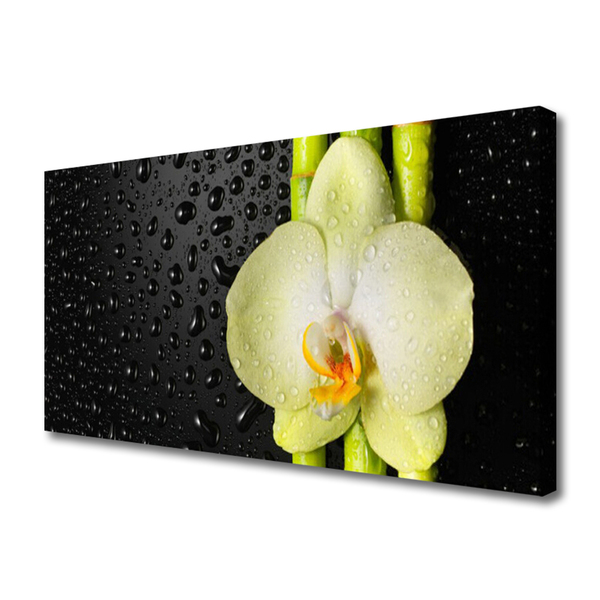 Foto op canvas Bamboo orchid flowers