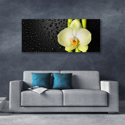 Foto op canvas Bamboo orchid flowers