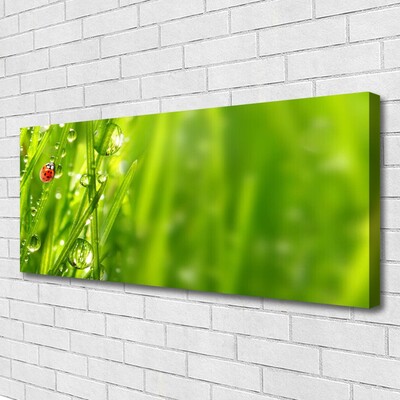 Foto op canvas Gras lieveheersbeestje nature