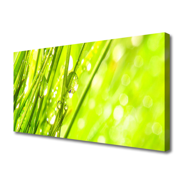 Foto op canvas Nature daalt gras