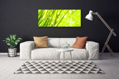 Foto op canvas Nature daalt gras