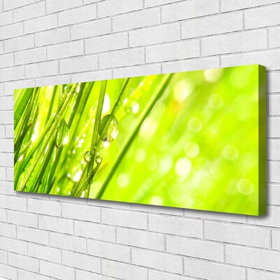 Foto op canvas Nature daalt gras