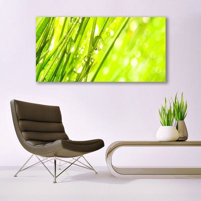 Foto op canvas Nature daalt gras