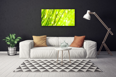 Foto op canvas Nature daalt gras