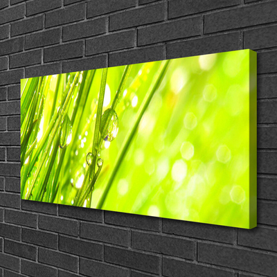 Foto op canvas Nature daalt gras