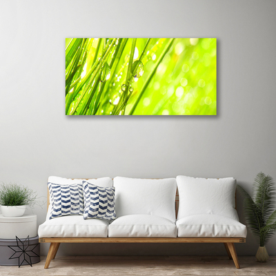 Foto op canvas Nature daalt gras