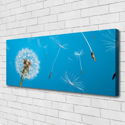 Foto op canvas Paardenbloemen bloemen nature