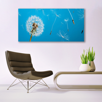 Foto op canvas Paardenbloemen bloemen nature