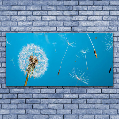 Foto op canvas Paardenbloemen bloemen nature