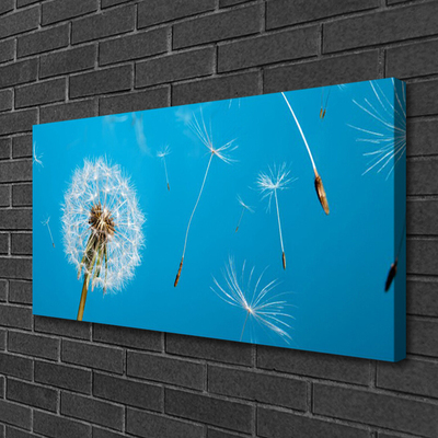 Foto op canvas Paardenbloemen bloemen nature