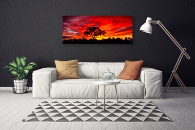 Foto op canvas Bos landschap natuur