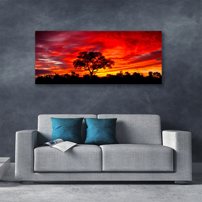 Foto op canvas Bos landschap natuur