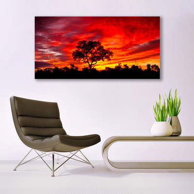 Foto op canvas Bos landschap natuur