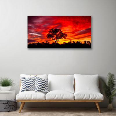 Foto op canvas Bos landschap natuur