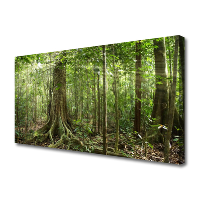 Foto op canvas Natuur jungle bosbomen