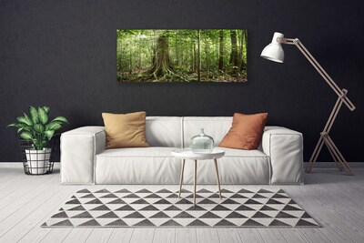 Foto op canvas Natuur jungle bosbomen