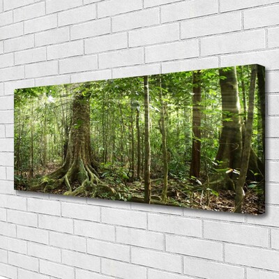 Foto op canvas Natuur jungle bosbomen